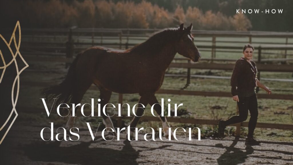 Vertrauen