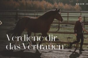 Vertrauen